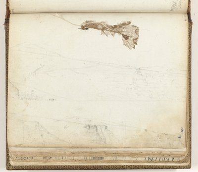 Bay Saint Helena, tørret blad af Jan Brandes