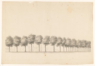 Bomenallee i Batavia af Jan Brandes