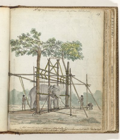 elefant stald af Jan Brandes