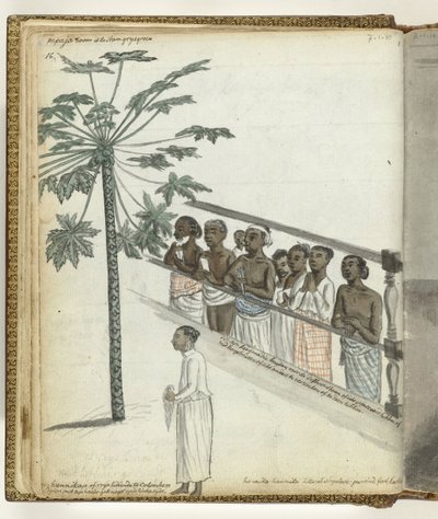 Papaya-træ, retssager ved Dessave og en 