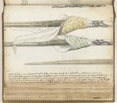 duftende urt af Jan Brandes