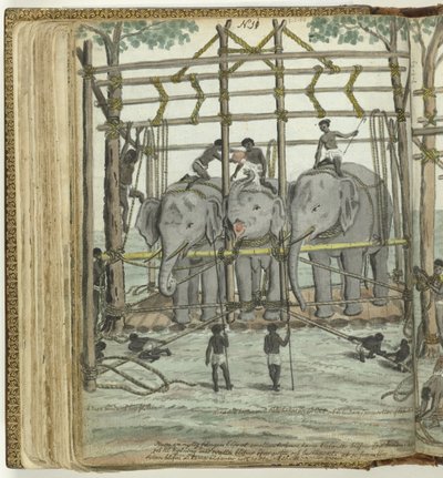 At tæmme en elefant af Jan Brandes