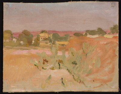 Rosa Landschaft mit Kakteen. Aus einer Reise nach Indien af Jan Ciągliński