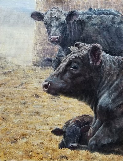 Familien Black Cattle af Jan Clizer