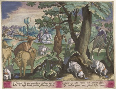 Hertenjacht met honden Jachttaferelen (serietitel) Jagten på vildt, fugle og fisk i Bestiary (serietitel) af Jan Collaert