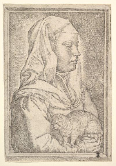 Pige med en kat, 1546. af Jan Cornelisz Vermeyen