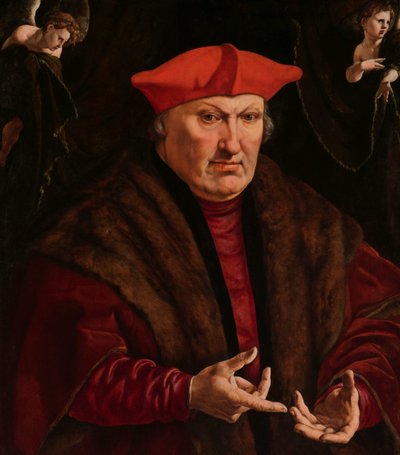 Portræt af Erard de la Marck Portret van Erard de la Marck af Jan Cornelisz Vermeyen