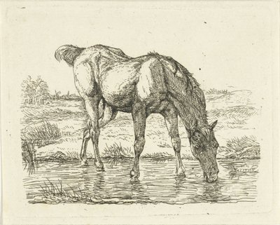 Drikkehest af Jan Dasveldt