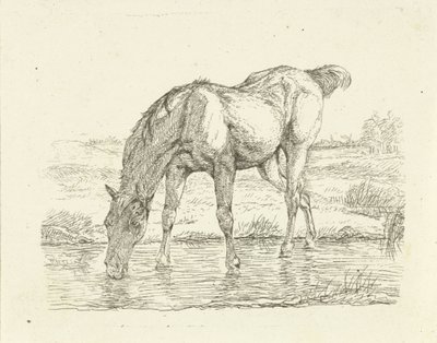 Drikkehest af Jan Dasveldt