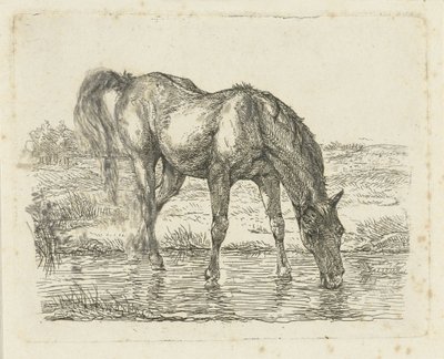 Drikkehest af Jan Dasveldt
