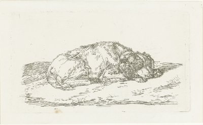 Sovende hund med hovedet hvilende på forbenene af Jan Dasveldt