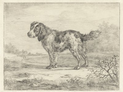 Spaniel stående i et landskab af Jan Dasveldt