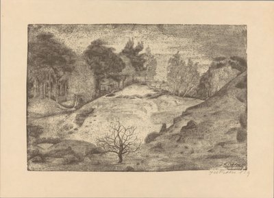 Hede ved Laren af Jan Fekkes (signed by artist)