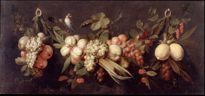 Stilleben med frugt og en fugl af Jan Frans van Son