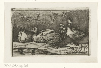 Fire ænder ved havnefronten af Jan Gerard Smits