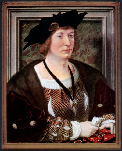 Portræt af Hendrik III, greve af Nassau-Breda, c1516-1517, 1927 af Jan Gossaert