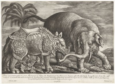 Olifant en neushoorn En sand gengivelse af naturens to store mesterværker, elefanten og næsehornet (titel på objektet) af Jan Griffier (I)