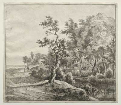 The Serpentine Road af Jan Hackaert