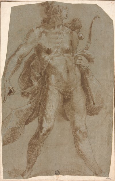 Apollo af Jan Harmensz. Muller