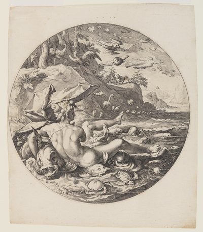 Den femte dag, planche 6, fra Verdens skabelse af Jan Harmensz. Muller