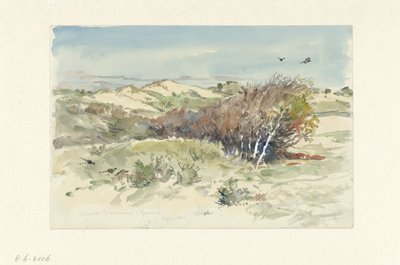 Klitlandskab mellem Bloemendaal og IJmuiden af Jan Hoynck van Papendrecht