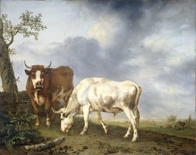 Okser i Engen af Jan Kobell (II)