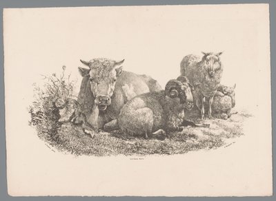 Ko, vædder og to får Beesten Studien af ​​J. Kobell efter Paul Potter Nr. 1 (serietitel) af Jan Kobell (III)