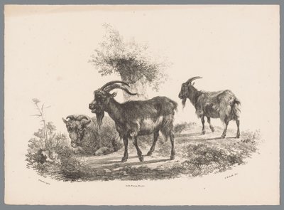 To geder og et får ved et træ Beesten Studien af ​​J. Kobell efter Paul Potter Nr. 1 (serietitel) af Jan Kobell (III)
