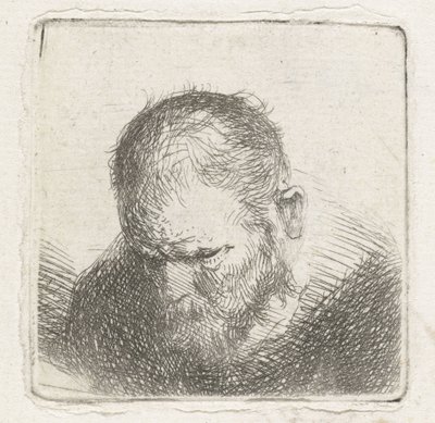 mand med skæg af Jan Lievens (possibly)