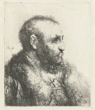 Buste af en gammel mand med pels af Jan Lievens