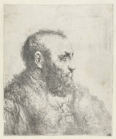 Buste af en gammel mand med pels af Jan Lievens