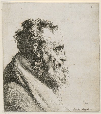 Brystbillede af en skægget, gammel mand, set i profil mod højre af Jan Lievens