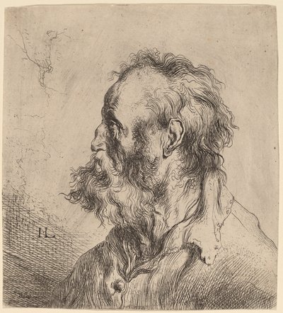 Buste af en skægget gammel mand af Jan Lievens