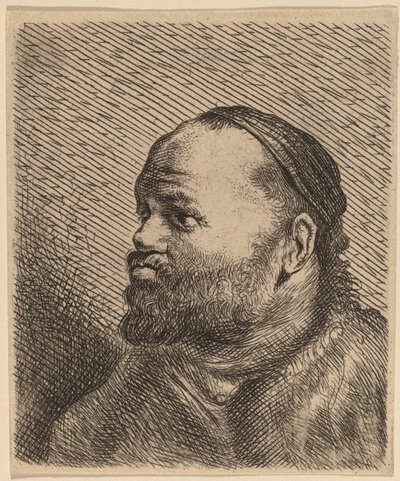 Buste af en mand med tykke læber af Jan Lievens