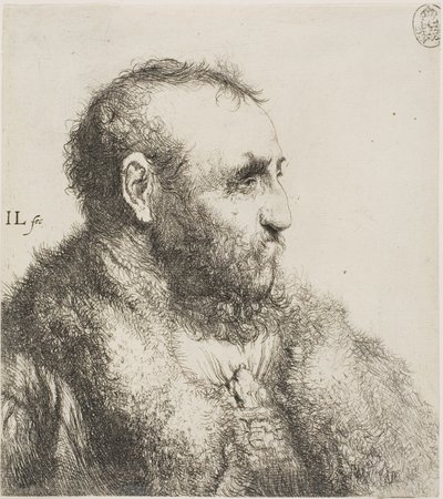 Buste af en gammel mand af Jan Lievens