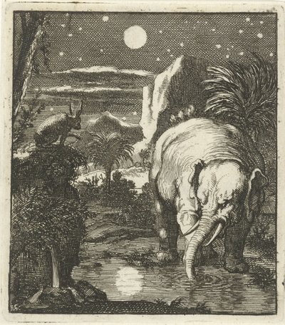 Hare og elefant med fuldmåne ved en vandkilde af Jan Luyken