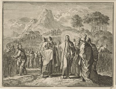 At plukke korn på sabbatten af Jan Luyken