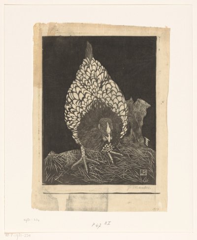 sølv wyandotte af Jan Mankes (signed by artist)
