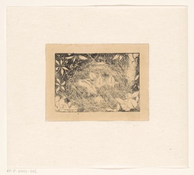 fuglerede af Jan Mankes