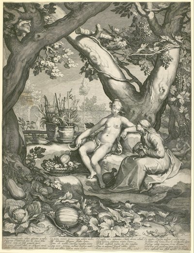 Vertumnus låner en gammel kvindes skikkelse for at vinde Pomonas kærlighed af Jan Pietersz. Saenredam
