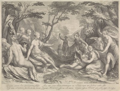 Diana opdager Callisto .s graviditet af Jan Saenredam