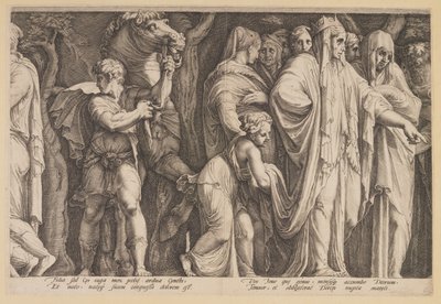 Afstraffelsen af Niobe (planche 6) af Jan Saenredam