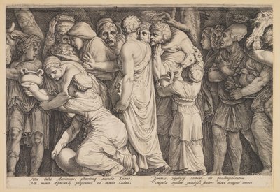 Afstraffelsen af Niobe (planche 7) af Jan Saenredam