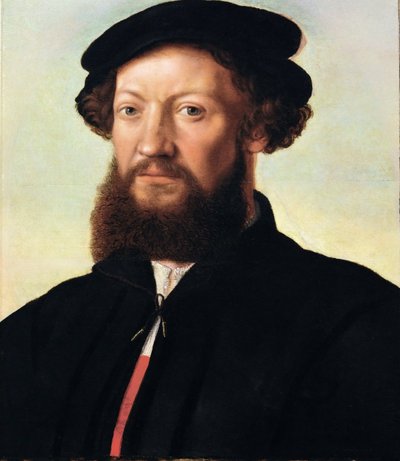 Portræt af en mand - Jan Sanders van Hemessen (ca. 1500-c. 1566). Olie på træ, ca 1555. Mål : 47x39 cm. Kunsthistorisk museum, Vienne af Jan Sanders van Hemessen
