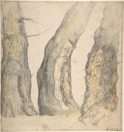 Studie af tre gamle knudrede træer, 1660. af Jan Siberechts