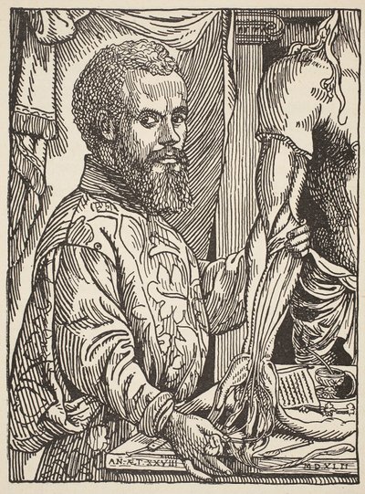 Andre Vesale, kopi af Boris Mestchersky (d.1957), illustration fra Histoire de la Nation Francaise, Sciences, bind I og II, af Gabriel Hanotaux (1853-1944), 1924 af Jan Stephen van Calcar