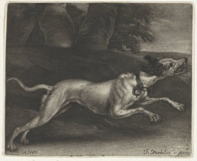 løbende hund af Jan Verkolje (I)