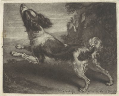 Løbende hund, muligvis en spaniel af Jan Verkolje (I)