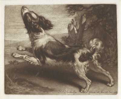 Løbende hund, muligvis en spaniel af Jan Verkolje (I)
