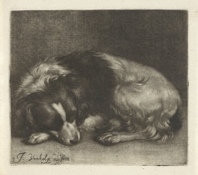 Sovende hund, muligvis en spaniel af Jan Verkolje (I)